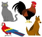 Pet Gallery Logo
