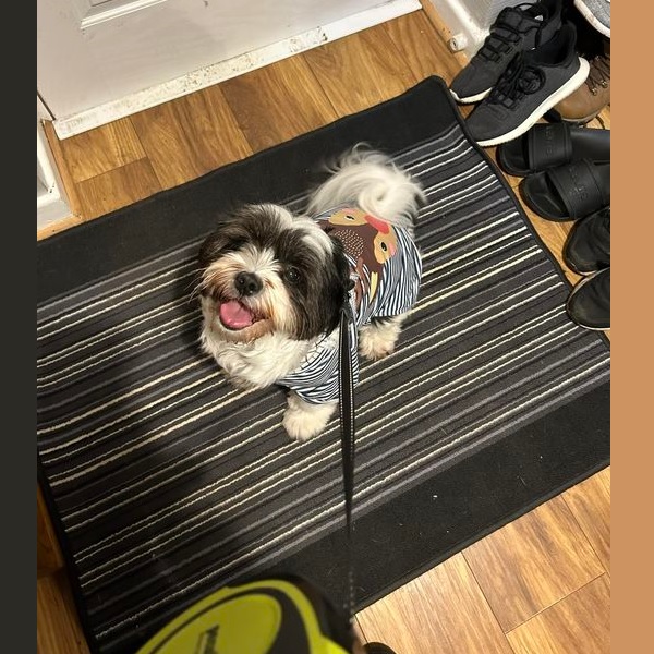 Bella