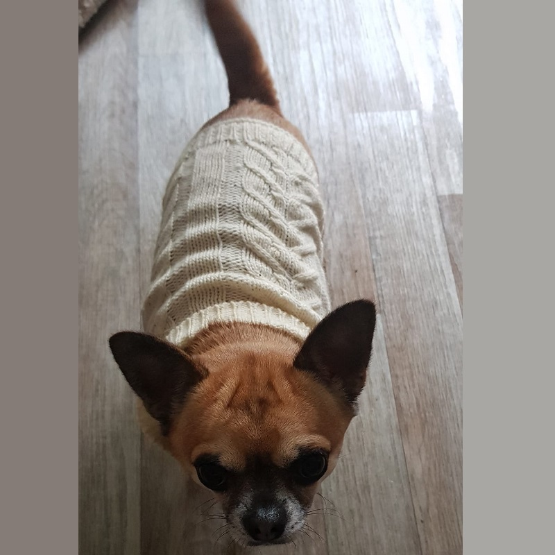 Gizmo