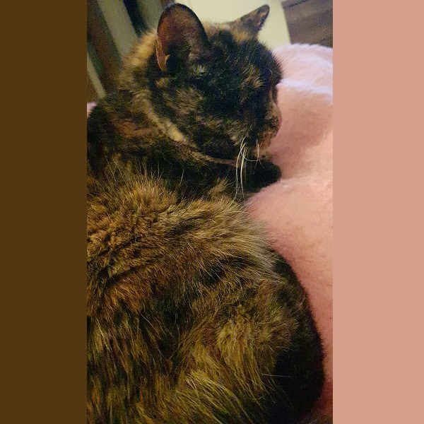 Mitzy