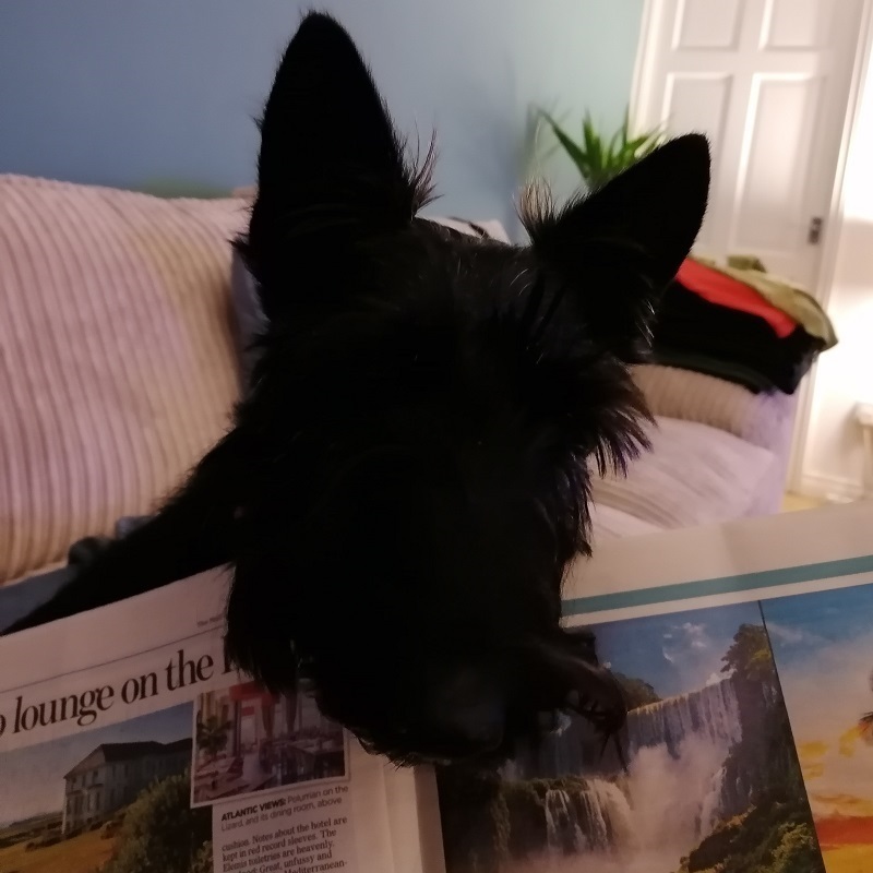 Kodi