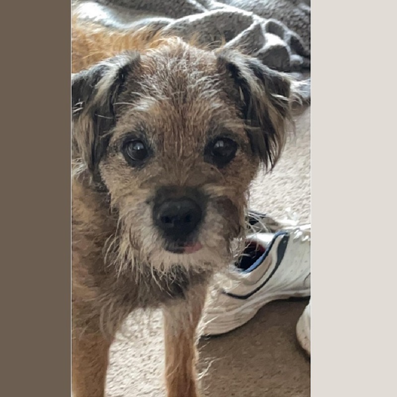 Rufus
