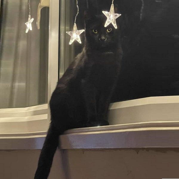 Shadow