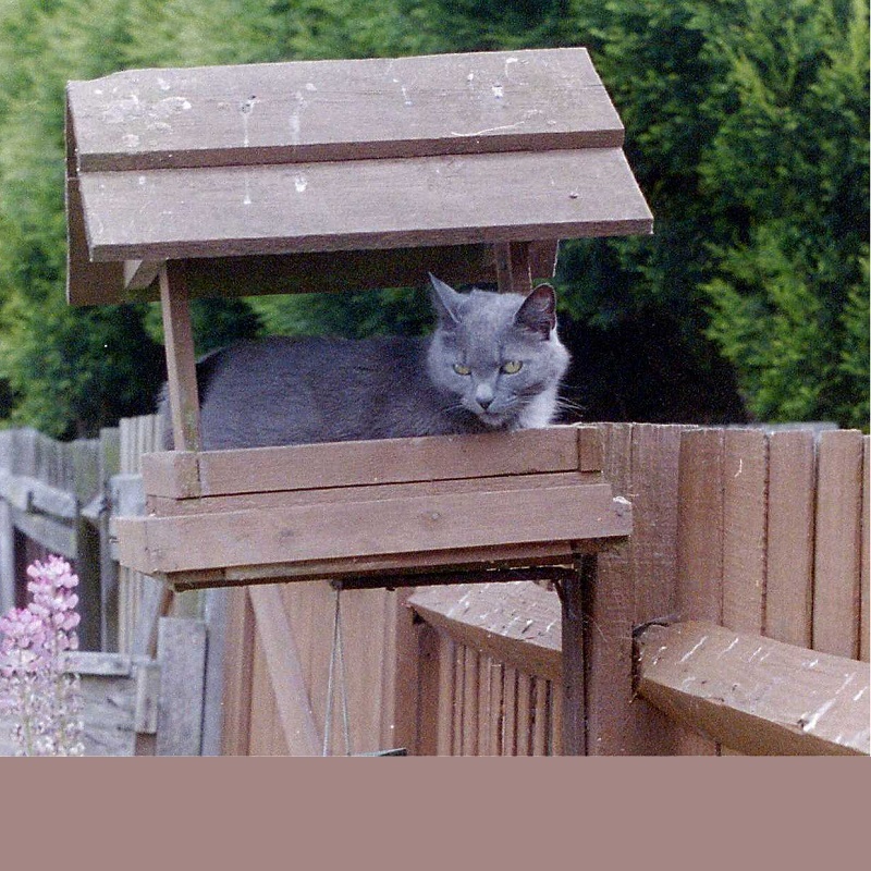 Smokey - Passed 2011