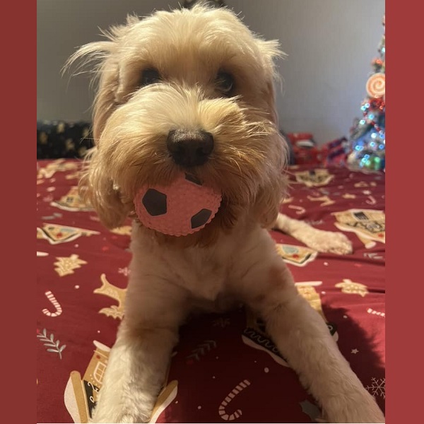 Winnie