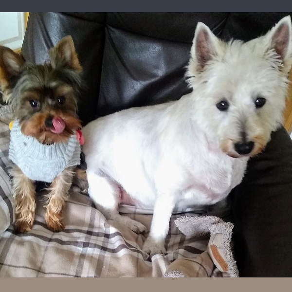 Elbie and Stanley