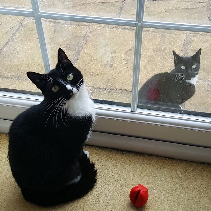 Katy and Cattrick