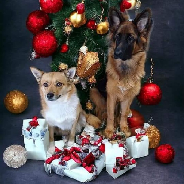 Kyra and Storm