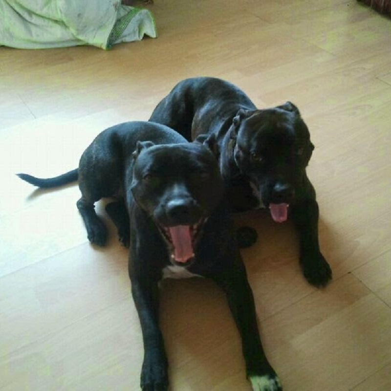 Like mother like daughter