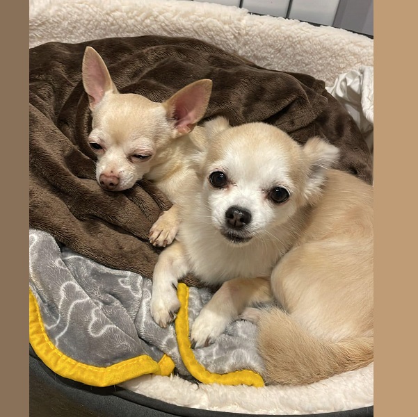 Lizzie and Yoda