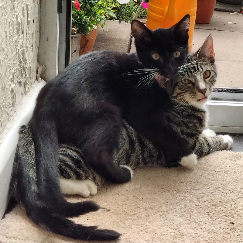 Rudy and George